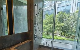 香港屯门扫管笏上源银主盘对上开价高10万